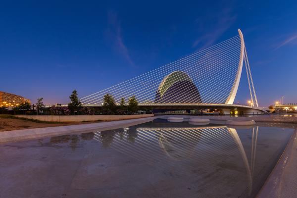 City of Arts and Sciences (Ciudad de las Artes y las Ciencias)