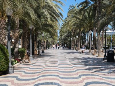 A wide pedestrian promenade lined with tall palm trees and distinctive black lampposts, featuring a unique wavy-patterned pavement in red, white, and blue.