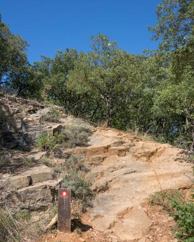 A rocky, sunlit hiking trail ascending through scrubby woodland, marked by a wooden post with a red circular trail marker (white symbol inside).