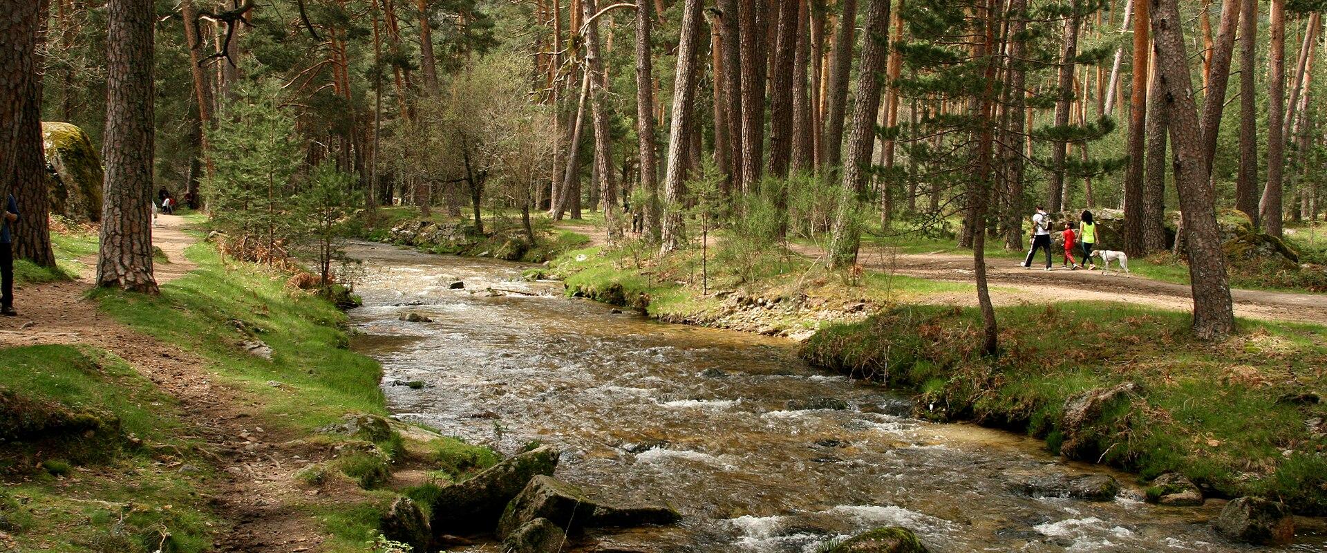 Parque del Río Eresma