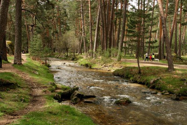 Parque del Río Eresma