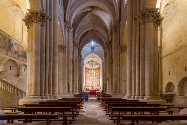 Old Cathedral of Salamanca (Catedral Vieja)