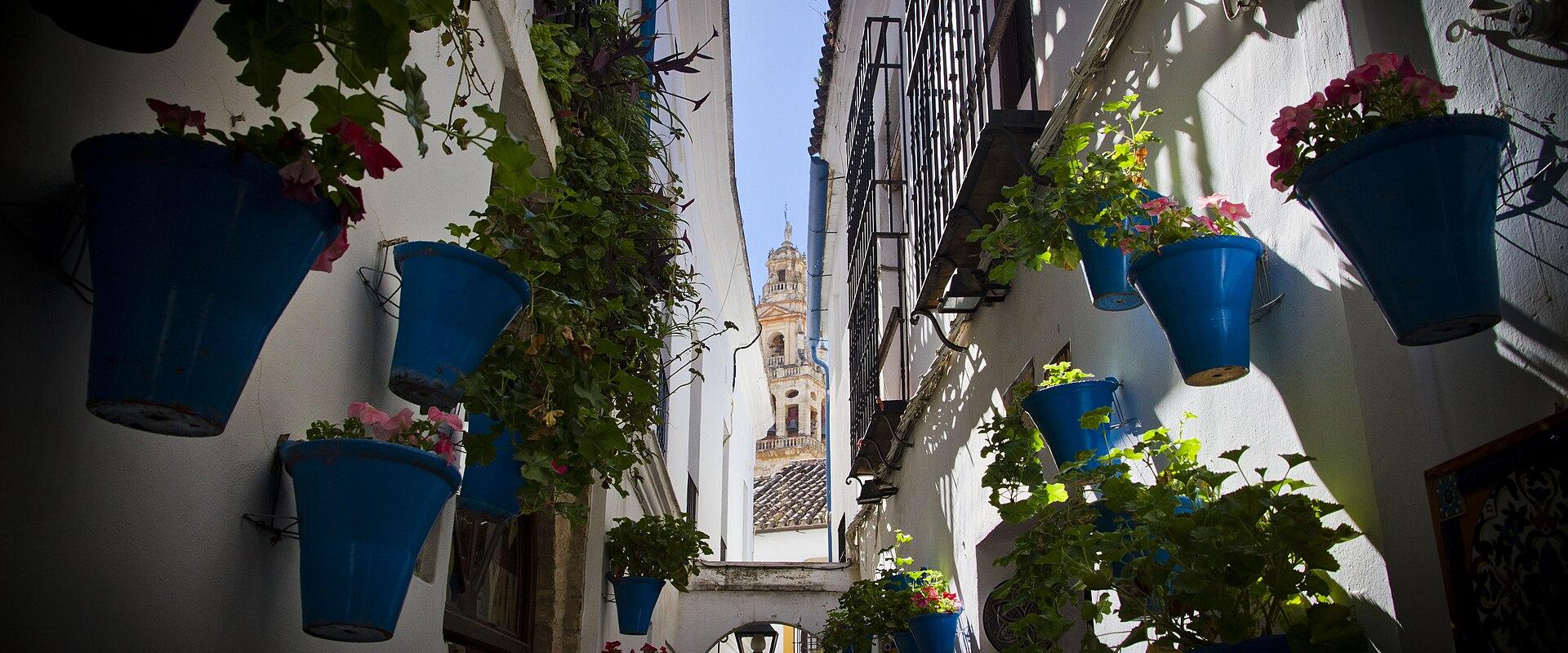 A narrow, whitewashed alleyway lined with numerous blue flower pots containing pink and red flowers, looking towards a church tower in the distance.