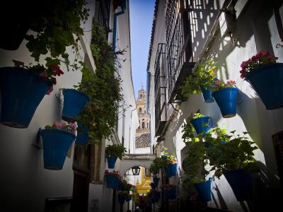 A narrow, whitewashed alleyway lined with numerous blue flower pots containing pink and red flowers, looking towards a church tower in the distance.