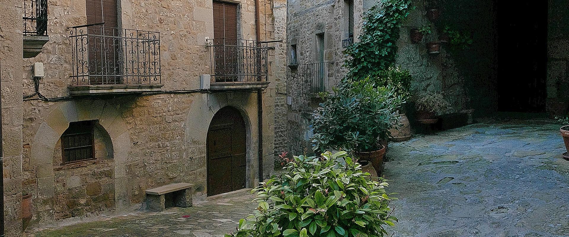 A narrow, cobblestone street in a historic Spanish village featuring stone buildings with wrought-iron balconies, terracotta roof tiles, and a central stone planter with a green bush.