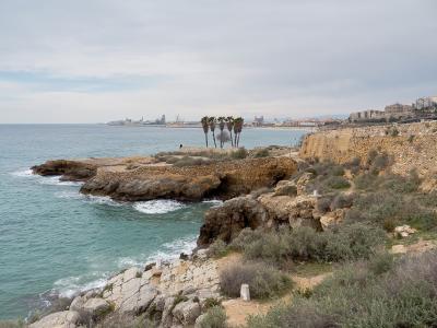 A coastal rocky outcrop with a low stone wall, a cluster of palm trees, and a view of a city coastline and industrial port in the distance under an overcast sky.