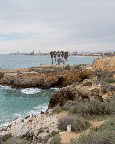 A coastal rocky outcrop with a low stone wall, a cluster of palm trees, and a view of a city coastline and industrial port in the distance under an overcast sky.