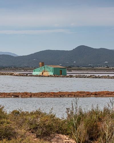 A landscape view of salt evaporation ponds with a small green building in the middle ground and hills in the background.