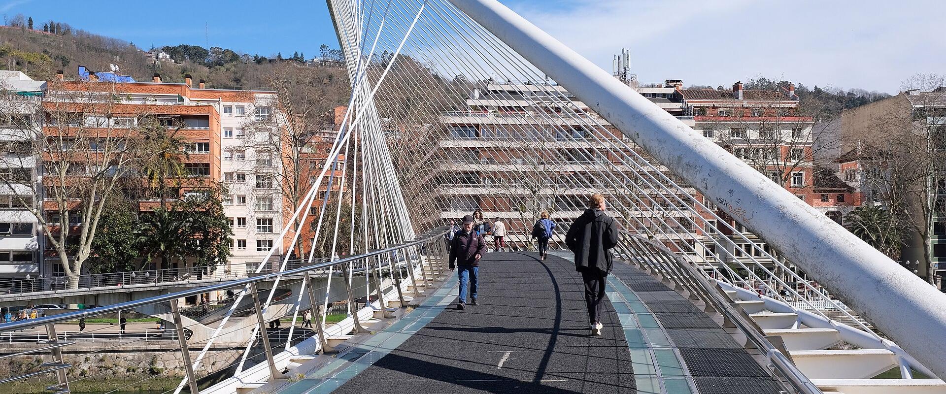 Zubizuri Bridge