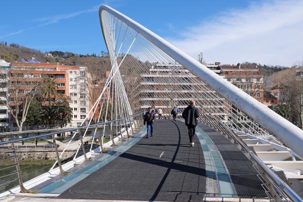 Zubizuri Bridge