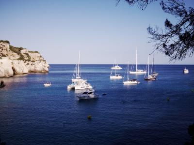 A coastal bay scene featuring several white sailboats and yachts anchored in deep blue water, with a prominent white limestone cliff on the left and pine tree branches framing the top right corner.