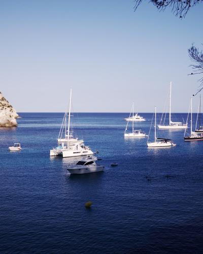 A coastal bay scene featuring several white sailboats and yachts anchored in deep blue water, with a prominent white limestone cliff on the left and pine tree branches framing the top right corner.
