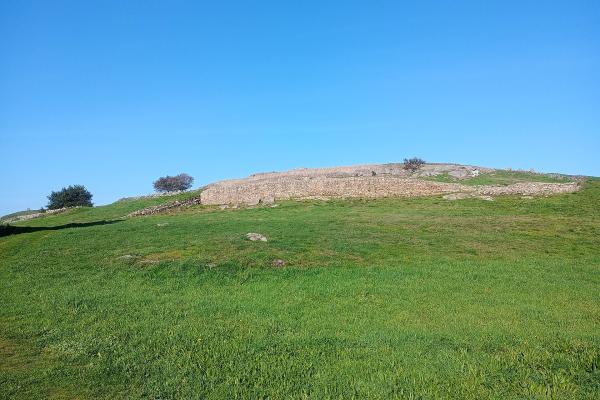 Castro de Elviña