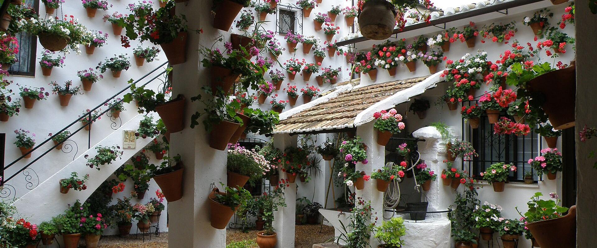 A whitewashed Córdoba patio hung with flowerpots