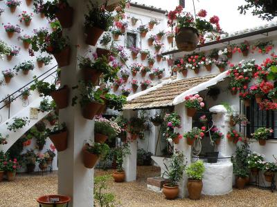 A whitewashed Córdoba patio hung with flowerpots