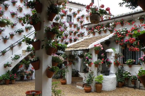 Patios Cordobeses