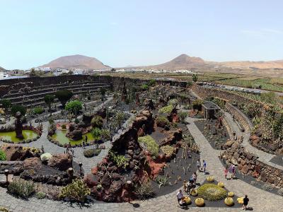 The amphitheatre of César Manrique's Jardín de Cactus, Lanzarote