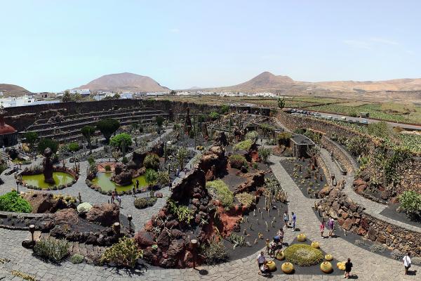Jardín de Cactus