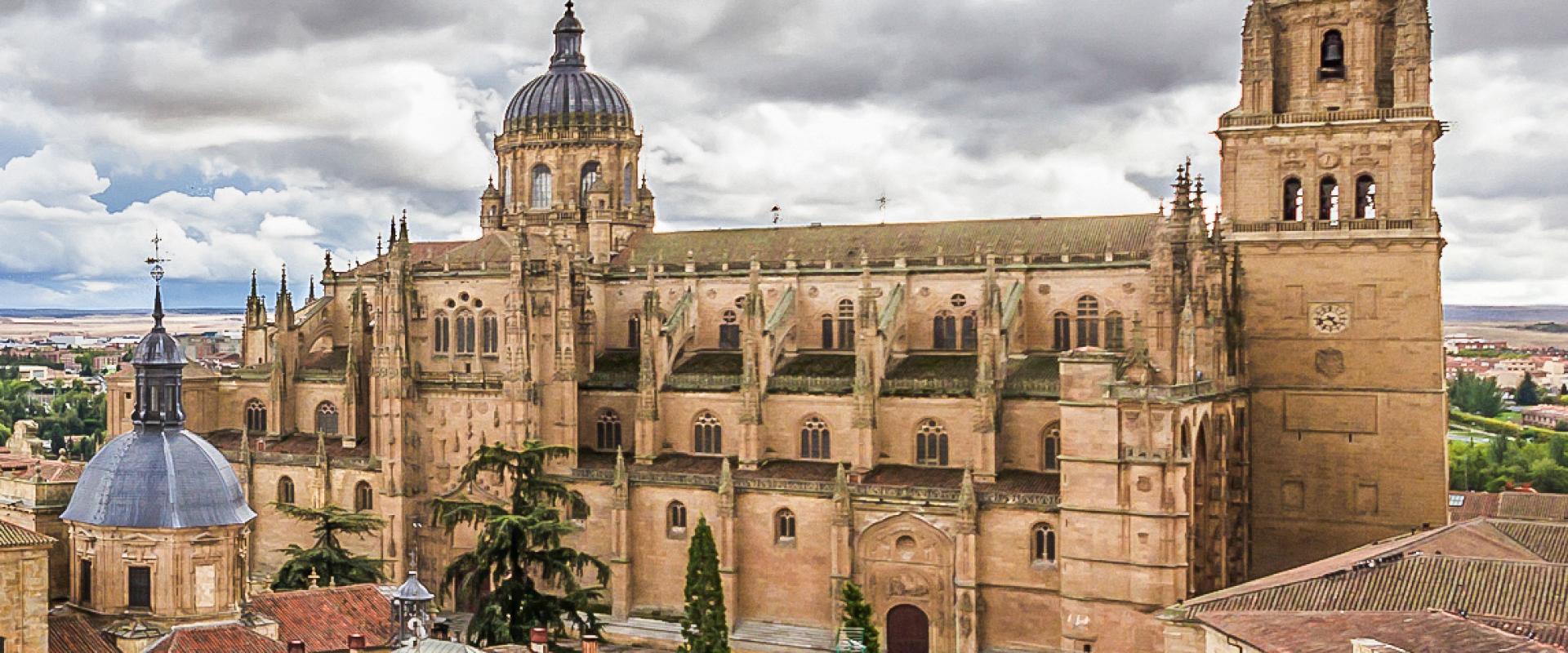 The cathedrals of Salamanca above the city's rooftops