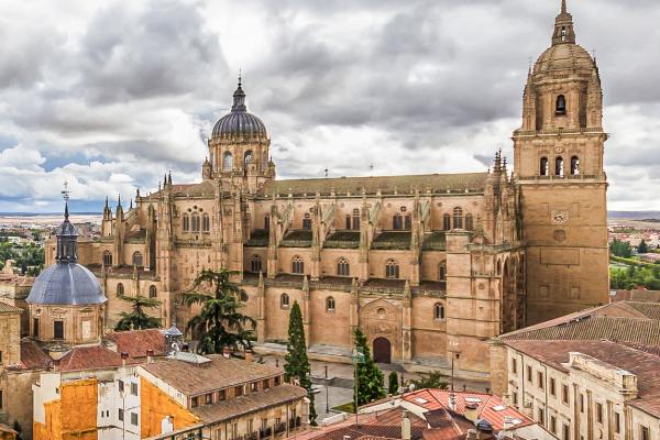 New Cathedral of Salamanca (Catedral Nueva)