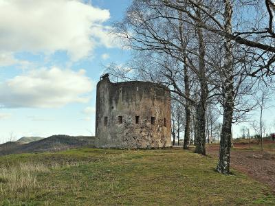 A weathered, cylindrical stone tower with narrow vertical openings stands on a grassy knoll, framed by bare deciduous trees under a partly cloudy sky.