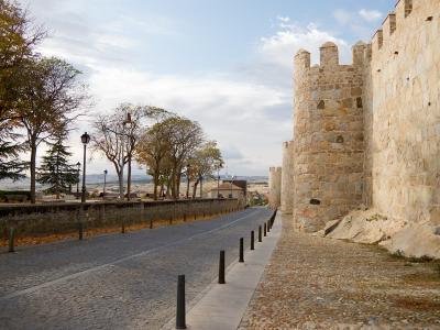A cobblestone walkway runs alongside a high medieval stone wall with square towers and crenellations, bordered by trees and a low wall overlooking a valley.