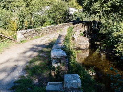 A stone medieval bridge spanning a river in a wooded area, with a dirt path leading onto it and a building visible in the background.