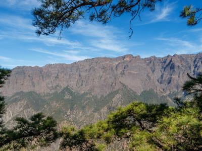 The rim and pine-clad walls of the Caldera de Taburiente on La Palma
