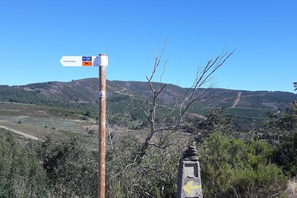 Camino de Santiago Route