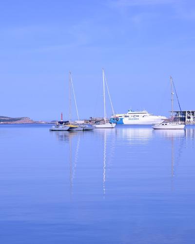 A panoramic view of a calm harbor with numerous sailboats and a large white ferry docked near a pier, with white buildings and a hill in the background under a clear blue sky.