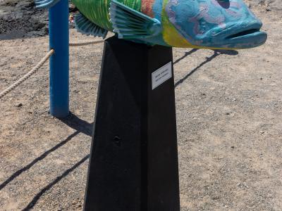 A large, colorful sculpture of a fish mounted on a black pedestal, with a harbor and stone wall in the background.