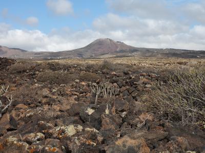 A close-up of a rustic wooden sign hanging from chains on a volcanic rock post, displaying the text "CUEVA DE LOS VERDES" in white painted letters against a backdrop of a hazy landscape.