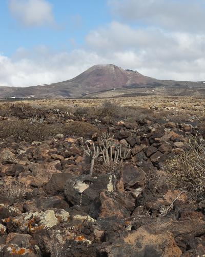 A close-up of a rustic wooden sign hanging from chains on a volcanic rock post, displaying the text "CUEVA DE LOS VERDES" in white painted letters against a backdrop of a hazy landscape.