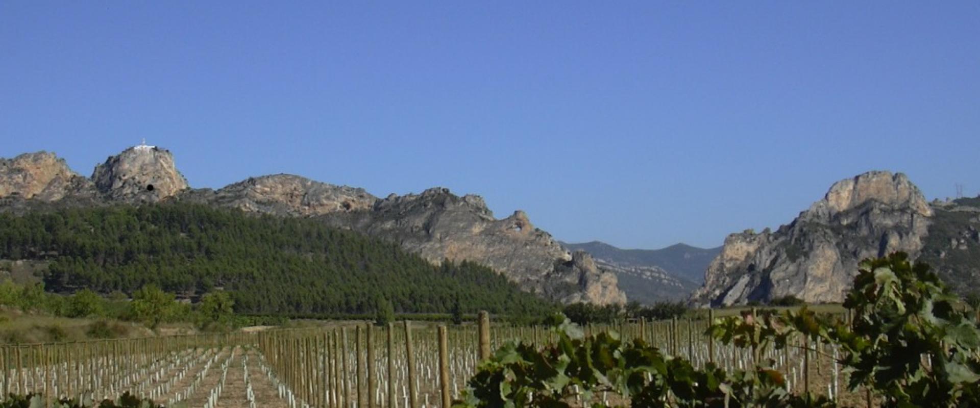 Vineyard rows beneath the Conchas de Haro rock ridge in La Rioja