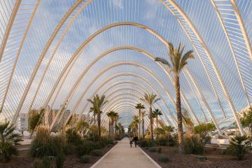 A long, covered walkway defined by a series of massive, white, ribbed arches (the L'Umbracle) lined with palm trees and landscaping, located in the City of Arts and Sciences in Valencia.