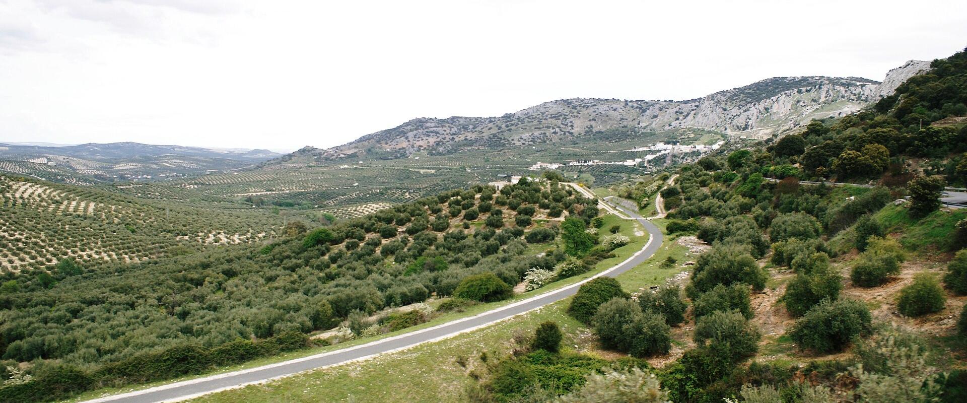 Cycling Routes
