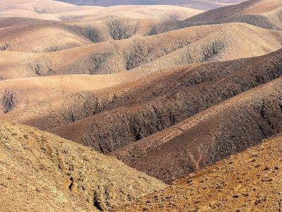 Fuerteventura