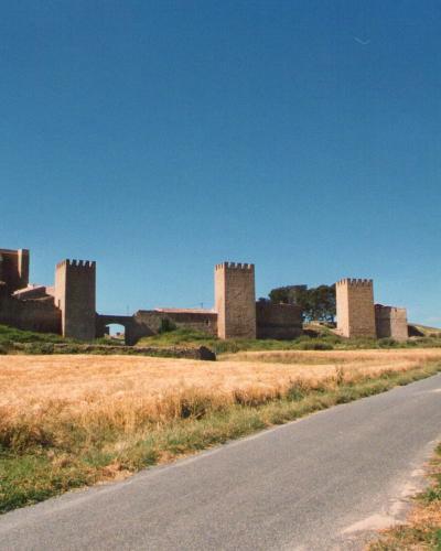 A medieval stone fortress with crenellated towers and walls, situated on a grassy hill overlooking a paved road and golden fields under a clear blue sky.