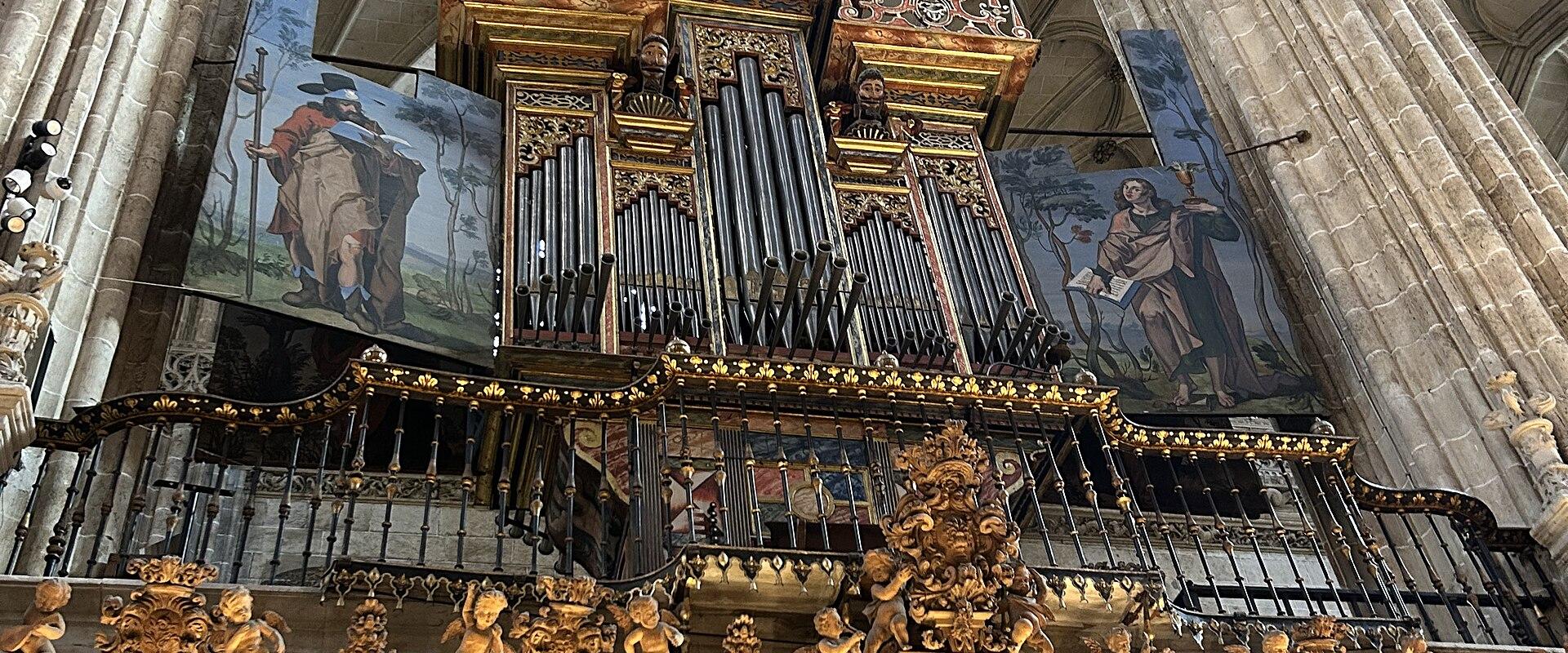New Cathedral of Salamanca (Catedral Nueva)