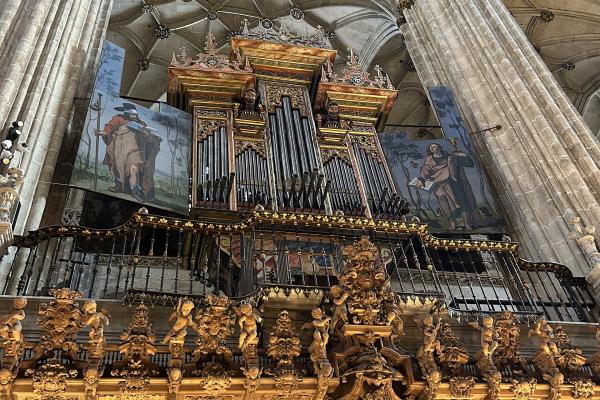 New Cathedral of Salamanca (Catedral Nueva)