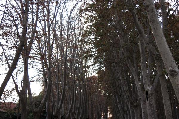 Parc de la Devesa