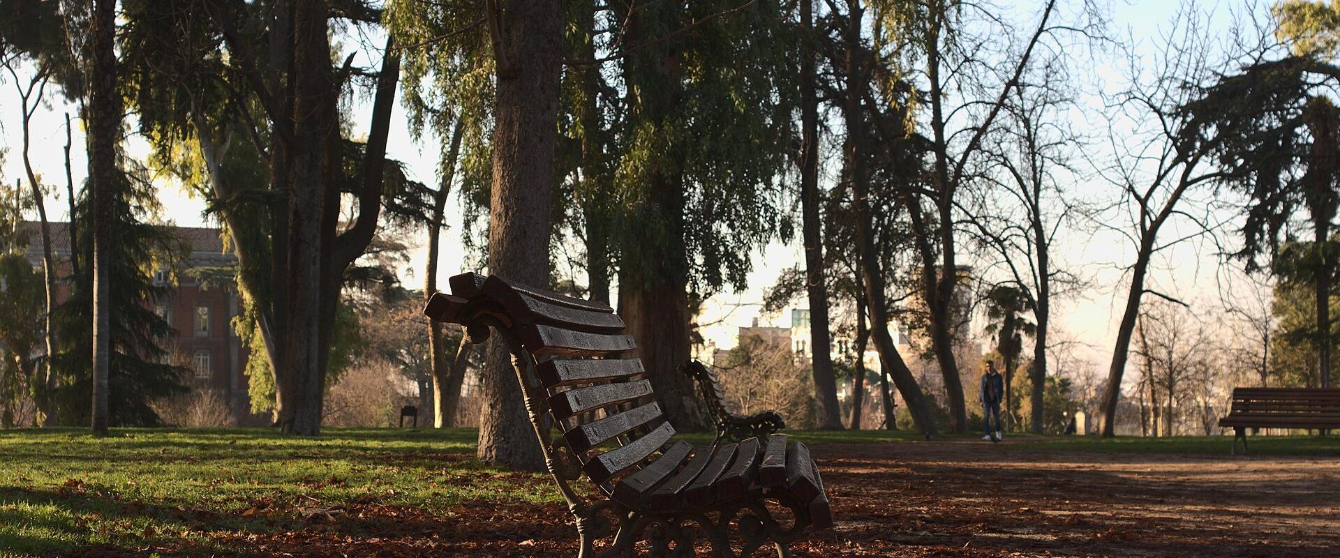Winter in Madrid