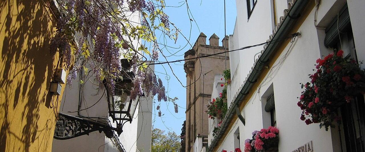 A narrow lane in Seville's Barrio de Santa Cruz