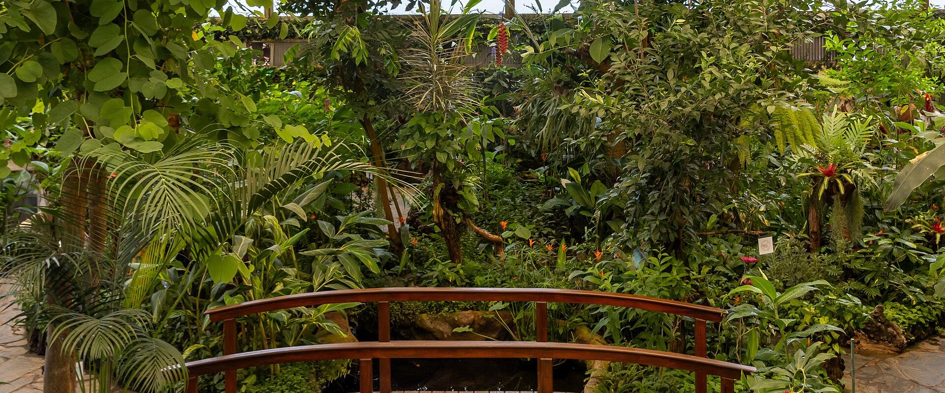 Tropical butterfly house at Mariposario del Drago