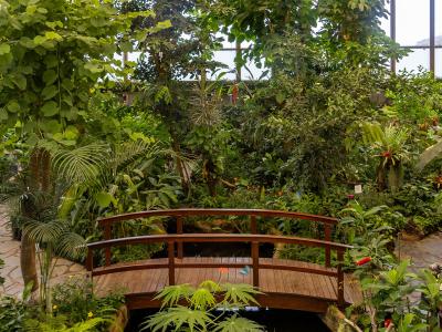 Tropical butterfly house at Mariposario del Drago
