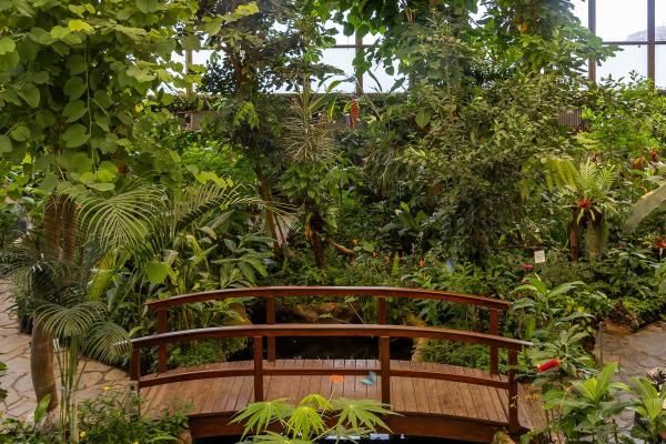 Mariposario Del Drago