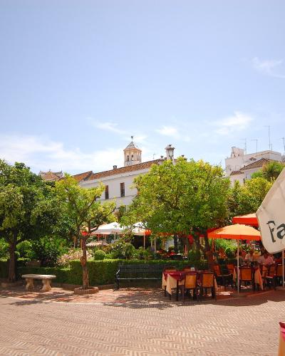 A sunlit public square with orange trees, paved walkways, outdoor café seating under umbrellas, and a white building with a bell tower in the background; a large white umbrella in the foreground displays the word “Farmacia” with a green cross symbol.