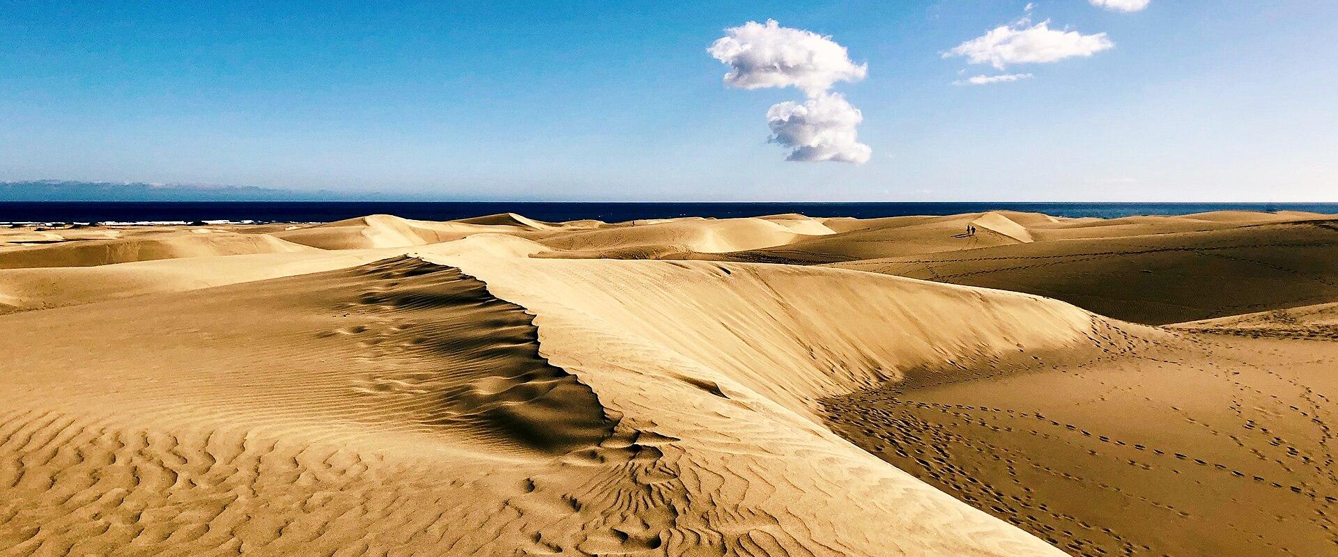 Rippled golden sand dunes of Maspalomas under a blue sky