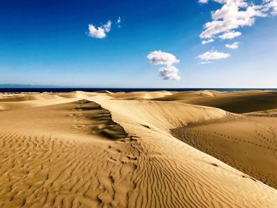 Rippled golden sand dunes of Maspalomas under a blue sky