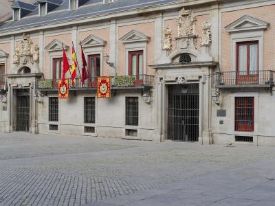 The image shows the facade of a historic stone building with multiple flags (including the Spanish flag and regional banners) and ornate coats of arms above windows and doorways, situated on a cobblestone plaza.
